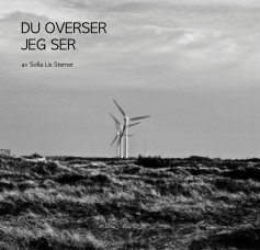 DU OVERSER JEG SER book cover