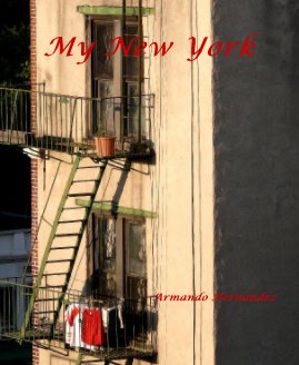My New York book cover