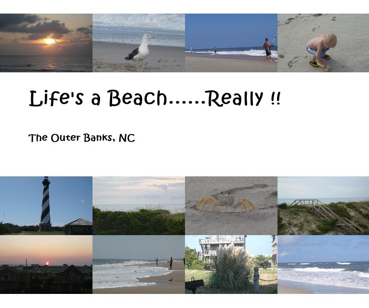 View Life's a Beach......Really !! by Sandy Bocz