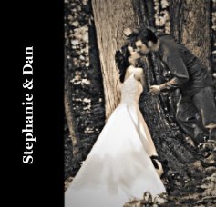 Stephanie & Dan book cover