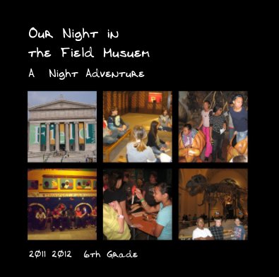 Our Night in the Field Musuem book cover