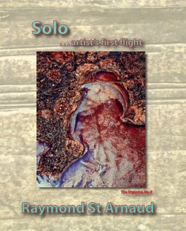 Solo...artist's first flight book cover