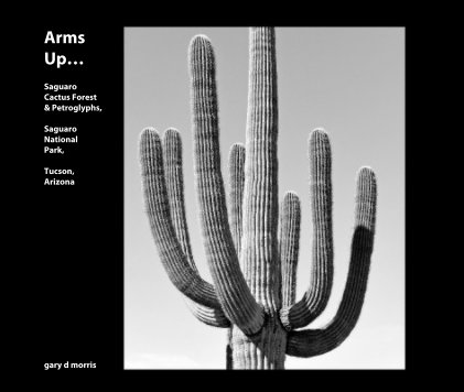 Arms Up… Saguaro Cactus Forest & Petroglyphs, Saguaro National Park, Tucson, Arizona book cover