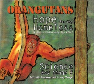 Orangutans book cover