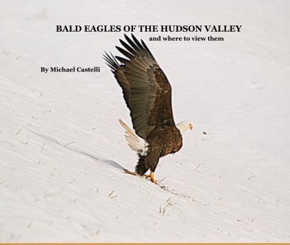 BALD EAGLES OF THE HUDSON VALLEY and where to view them book cover
