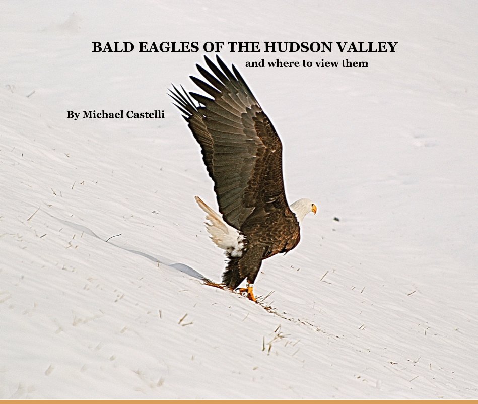 BALD EAGLES OF THE HUDSON VALLEY and where to view them nach Michael Castelli anzeigen