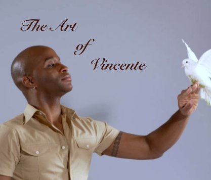The Art
             of  
                Vincente book cover
