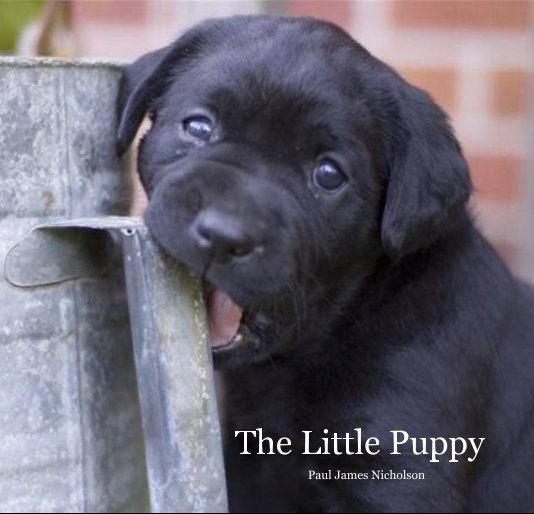 View The Little Puppy by Paul James Nicholson