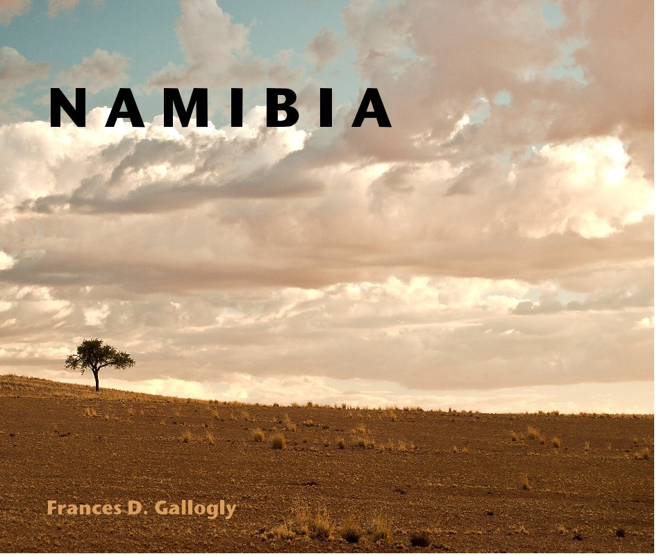 View NAMIBIA by Frances D. Gallogly