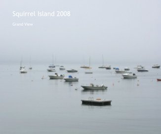 Squirrel Island 2008 book cover