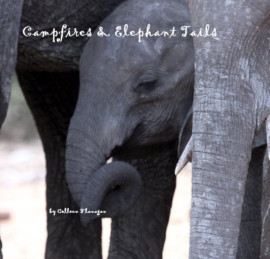 View Campfires & Elephant Tails by Colleen Flanagan