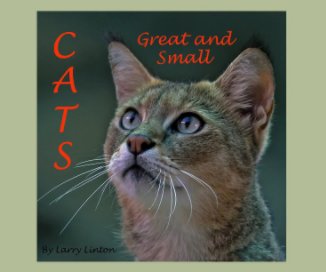 CATS GREAT AND SMALL book cover