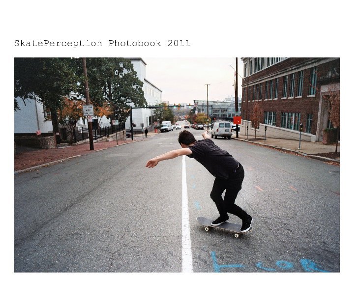 View SkatePerception Photobook 2011 by Julien Strasfeld