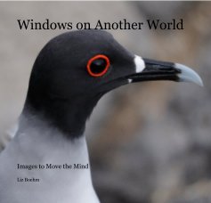 Windows on Another World book cover