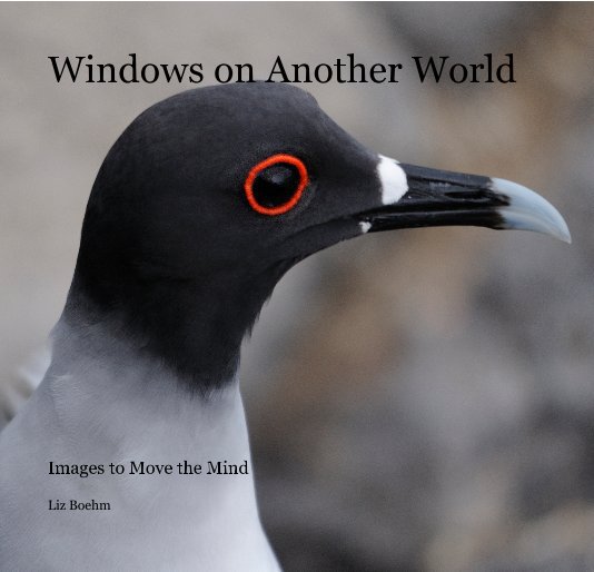 Bekijk Windows on Another World op Liz Boehm