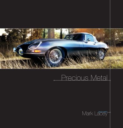 Precious Metal book cover