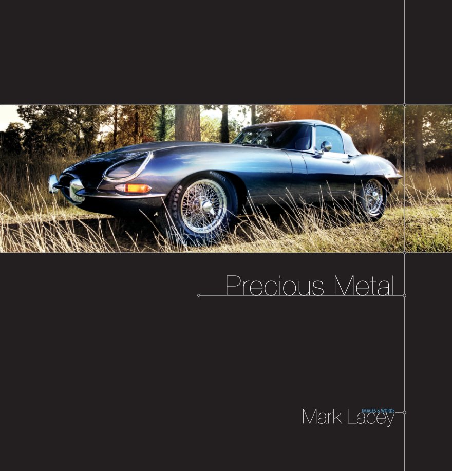 View Precious Metal by Mark Lacey