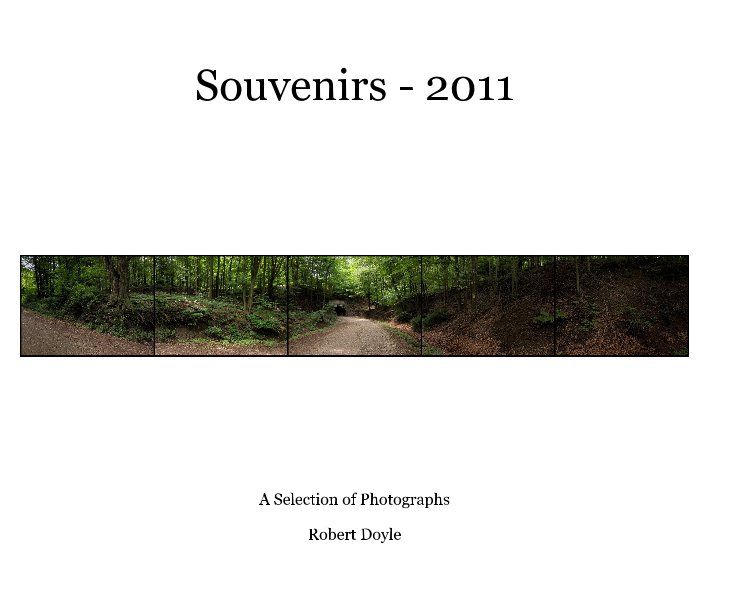 View Souvenirs - 2011 by Robert Doyle