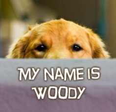 My Name is Woody book cover