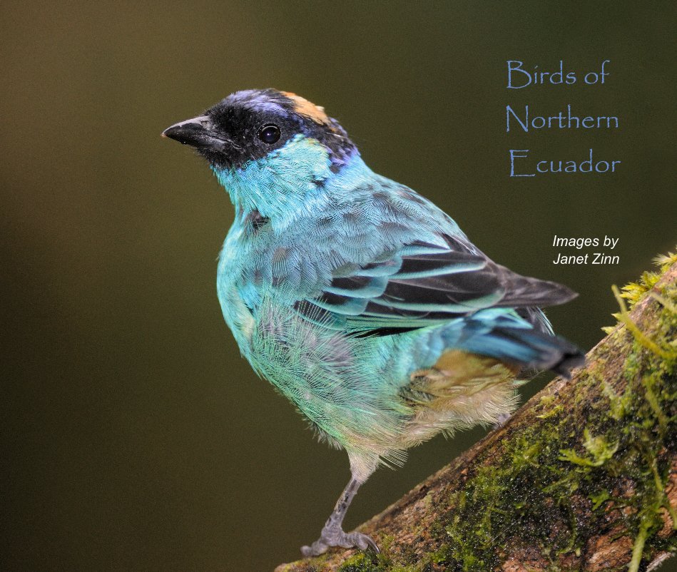 View Birds of Northern Ecuador by Janet Zinn