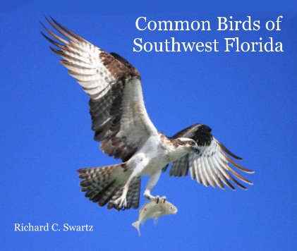 Common Birds of Southwest Florida book cover