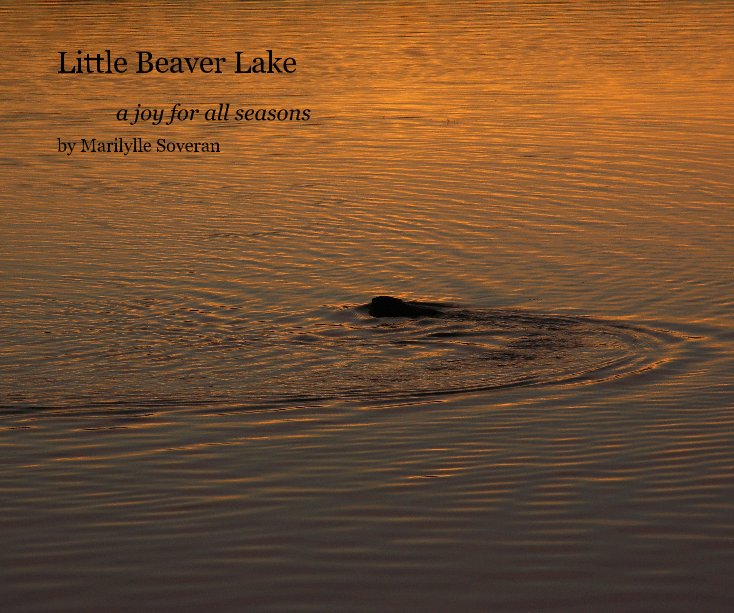 View Little Beaver Lake by Marilylle Soveran