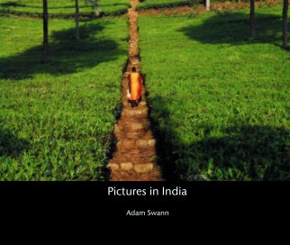 Pictures in India book cover