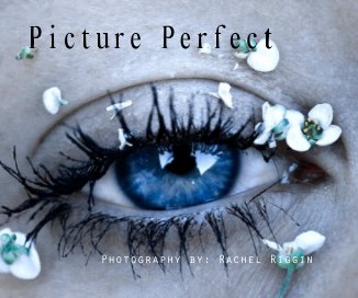 Picture Perfect book cover