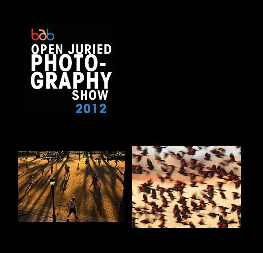 Visualizza Open Juried Potography Show 2012 di BeauxArts Brampton