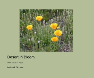Desert in Bloom book cover