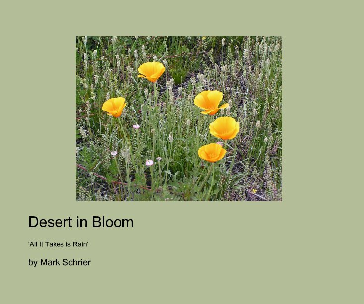 View Desert in Bloom by Mark Schrier