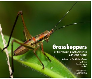 Grasshoppers of Northwest South America - A Photo Guide book cover