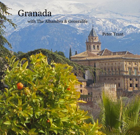 View Granada by Peter Trant