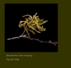 Beneath the Trees in Spring book cover