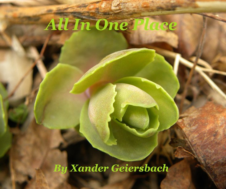 All In One Place By Xander Geiersbach nach Xander Geiersbach anzeigen