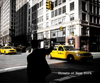 Streets of New York book cover