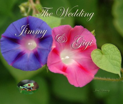 The Wedding of Jimmy & Gigi book cover