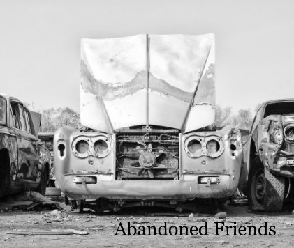 Abandoned Friends book cover