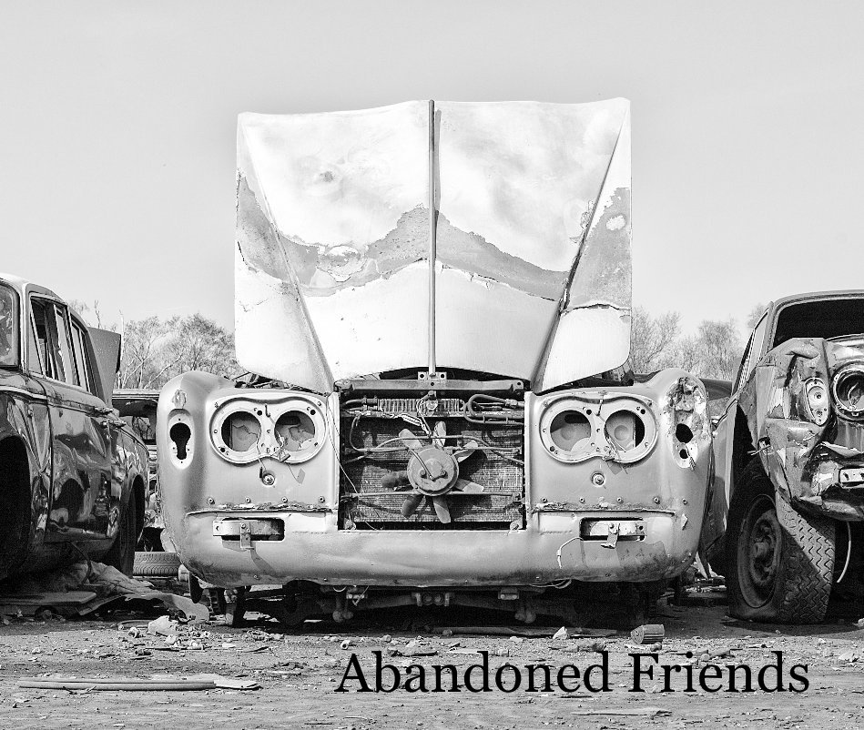 View Abandoned Friends by Paul Fox