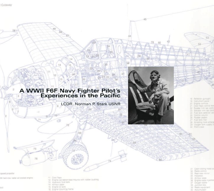 View A WWII F6F Navy Fighter Pilot's Experiences in the Pacific by LCDR. Norman P. Stark USNR