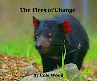 The Fires of Change By Cole Wood book cover