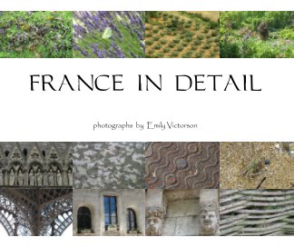 FRANCE IN DETAIL book cover