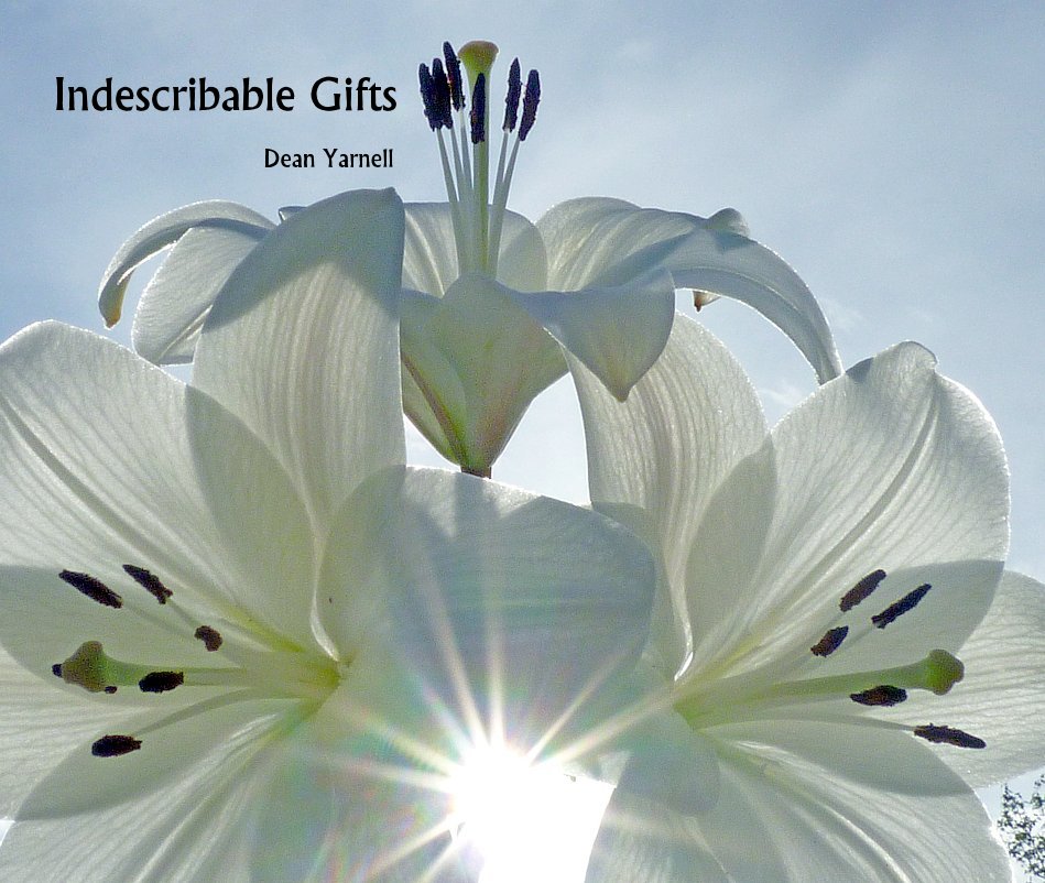 View Indescribable Gifts by Dean Yarnell