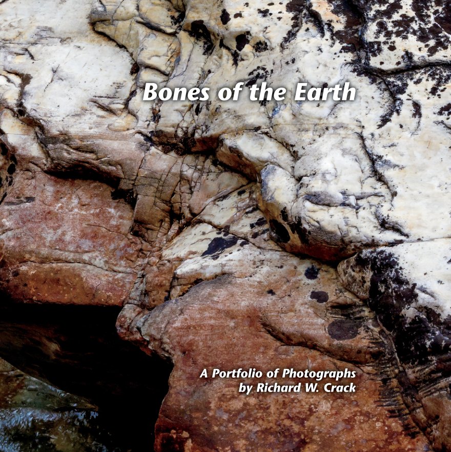 Ver Bones of the Earth por Richard W. Crack