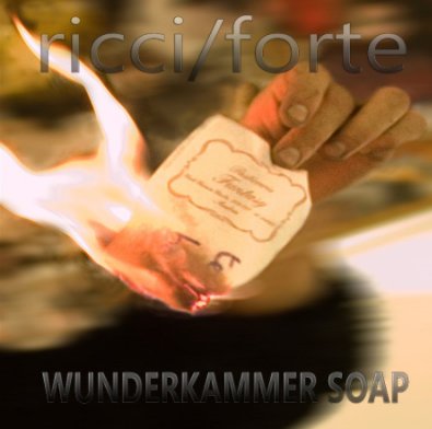 ricci/forte WUNDERKAMMER SOAP book cover