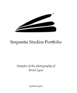 Serpentia Studios Portfolio book cover