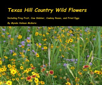 Texas Hill Country Wild Flowers book cover