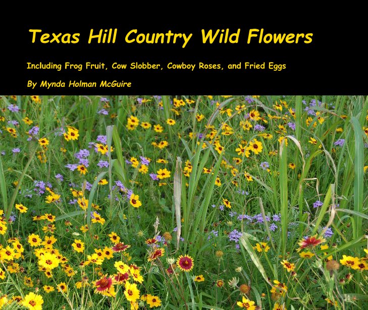 View Texas Hill Country Wild Flowers by Mynda Holman McGuire