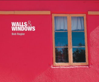 Walls and Windows book cover