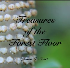 Treasures 
of the 
Forest Floor book cover